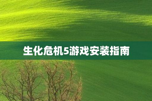 生化危机5游戏安装指南 生化危机5游戏安装指南