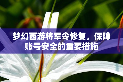 梦幻西游将军令修复，保障账号安全的重要措施