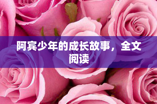 阿宾少年的成长故事，全文阅读
