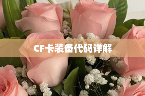 CF卡装备代码详解 CF卡装备代码详解