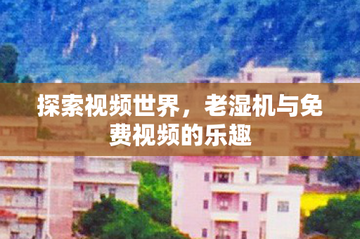 探索视频世界，老湿机与免费视频的乐趣
