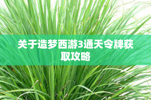 关于造梦西游3通天令牌获取攻略