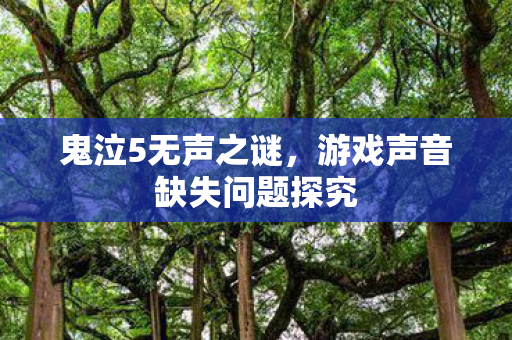 鬼泣5无声之谜，游戏声音缺失问题探究