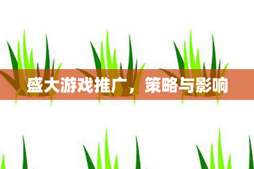 盛大游戏推广，策略与影响