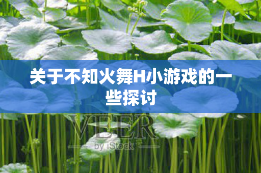 关于不知火舞H小游戏的一些探讨