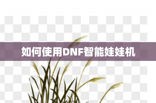 如何使用DNF智能娃娃机
