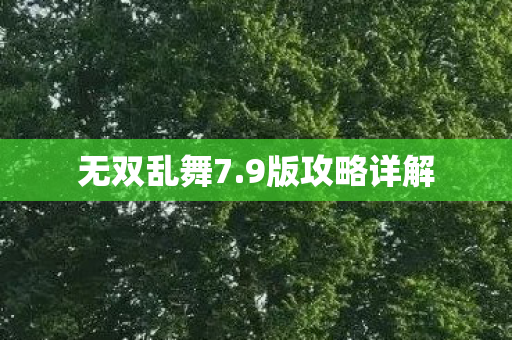 无双乱舞7.9版攻略详解