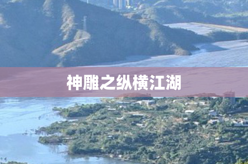 神雕之纵横江湖