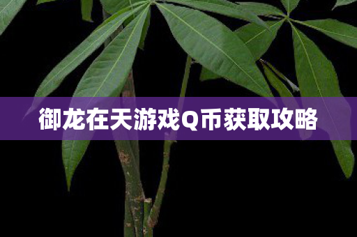 御龙在天游戏Q币获取攻略