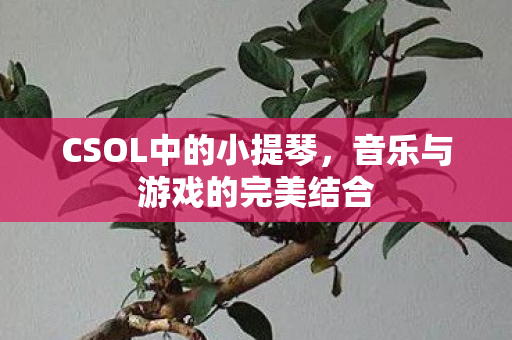 CSOL中的小提琴，音乐与游戏的完美结合
