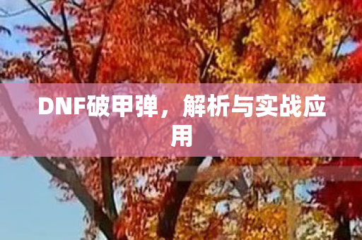 DNF破甲弹,解析与实战应用 DNF破甲弹,解析与实战应用