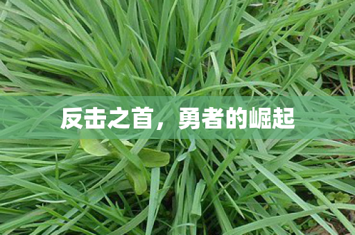 反击之首，勇者的崛起