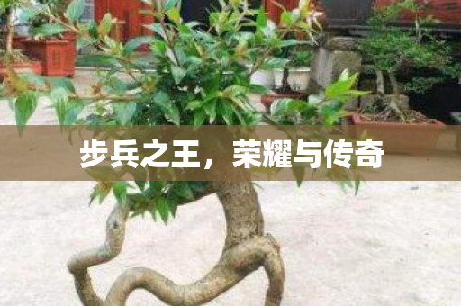 步兵之王,荣耀与传奇 步兵之王,荣耀与传奇