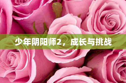 少年阴阳师2,成长与挑战 少年阴阳师2,成长与挑战