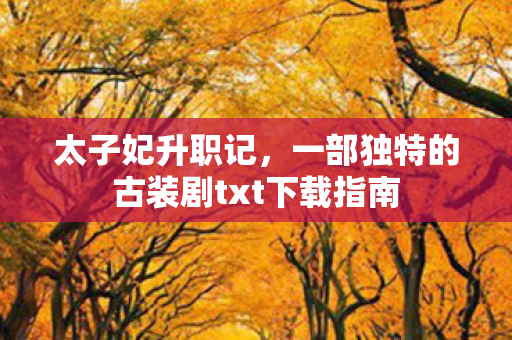 太子妃升职记,一部独特的古装剧txt下载指南 太子妃升职记,一部独特的古装剧txt下载指南