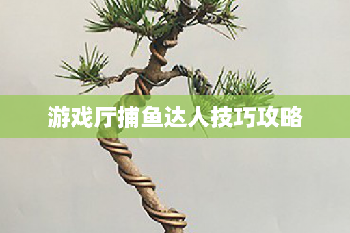 游戏厅捕鱼达人技巧攻略 游戏厅捕鱼达人技巧攻略