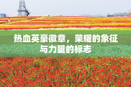 热血英豪徽章,荣耀的象征与力量的标志 热血英豪徽章,荣耀的象征与力量的标志