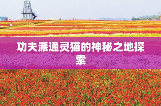 功夫派通灵猫的神秘之地探索
