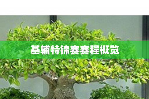 基辅特锦赛赛程概览