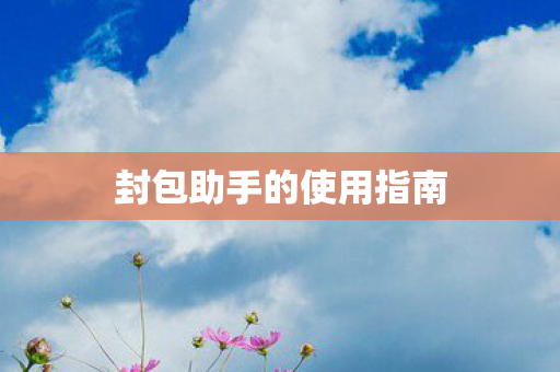 封包助手的使用指南