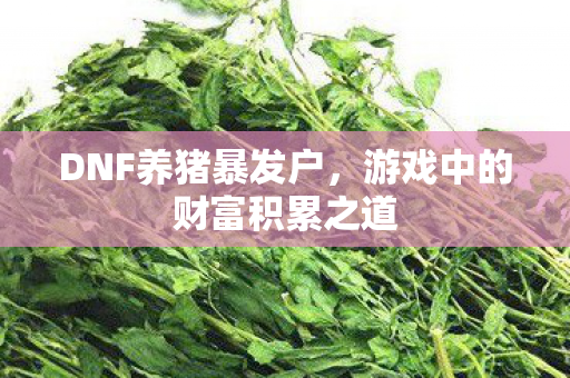 DNF养猪暴发户,游戏中的财富积累之道 DNF养猪暴发户,游戏中的财富积累之道
