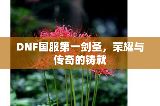 DNF国服第一剑圣,荣耀与传奇的铸就 DNF国服第一剑圣,荣耀与传奇的铸就