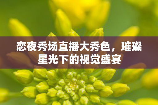 恋夜秀场直播大秀色，璀璨星光下的视觉盛宴