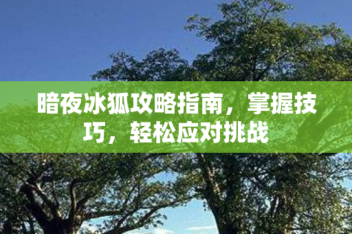 暗夜冰狐攻略指南，掌握技巧，轻松应对挑战