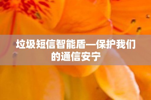 垃圾短信智能盾—保护我们的通信安宁
