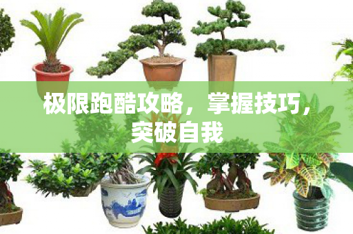 极限跑酷攻略，掌握技巧，突破自我