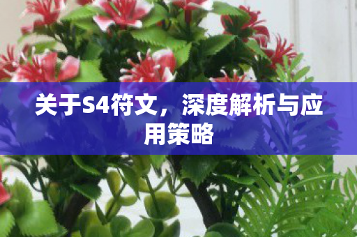 关于S4符文，深度解析与应用策略