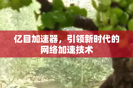 亿目加速器,引领新时代的网络加速技术 亿目加速器,引领新时代的网络加速技术