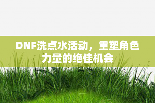 DNF洗点水活动，重塑角色力量的绝佳机会