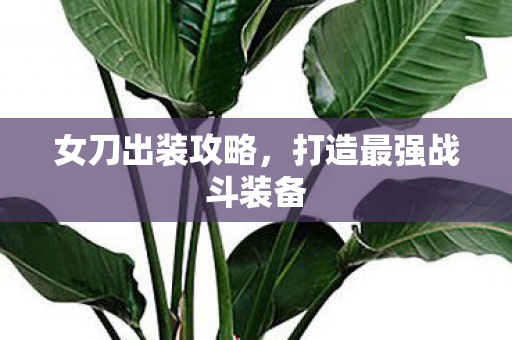 女刀出装攻略,打造最强战斗装备 女刀出装攻略,打造最强战斗装备