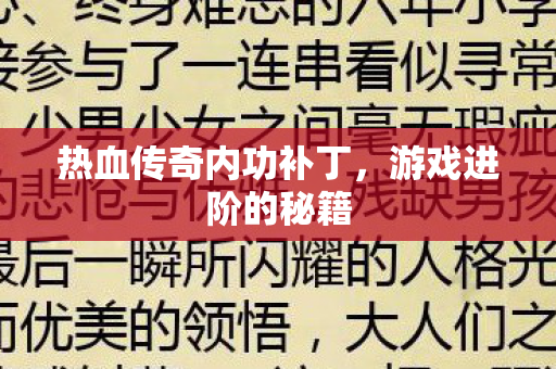 热血传奇内功补丁,游戏进阶的秘籍 热血传奇内功补丁,游戏进阶的秘籍
