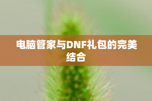 电脑管家与DNF礼包的完美结合