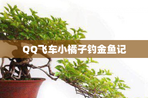 QQ飞车小橘子钓金鱼记 QQ飞车小橘子钓金鱼记
