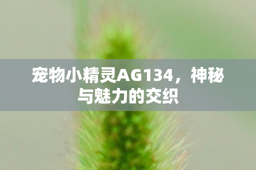 宠物小精灵AG134，神秘与魅力的交织