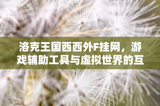 洛克王国西西外F挂网，游戏辅助工具与虚拟世界的互动体验