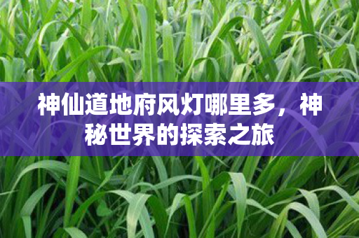 神仙道地府风灯哪里多,神秘世界的探索之旅 神仙道地府风灯哪里多,神秘世界的探索之旅