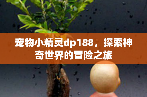 宠物小精灵dp188，探索神奇世界的冒险之旅