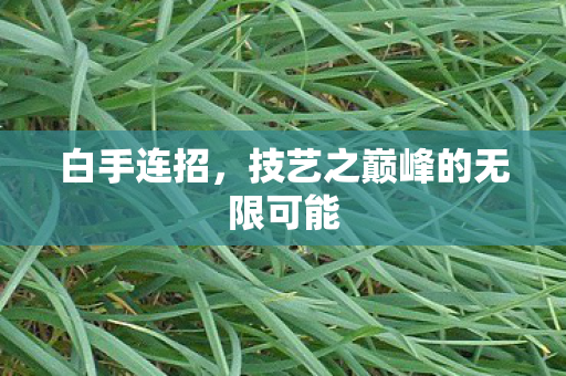 白手连招,技艺之巅峰的无限可能 白手连招,技艺之巅峰的无限可能