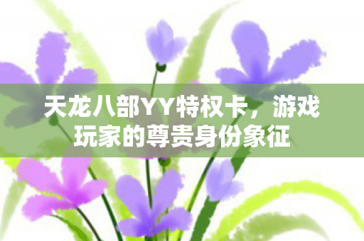天龙八部YY特权卡，游戏玩家的尊贵身份象征