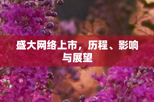 盛大网络上市，历程、影响与展望