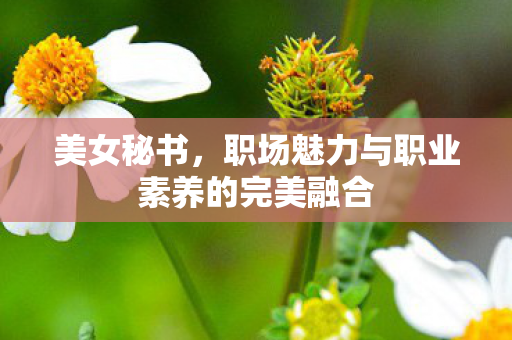 美女秘书,职场魅力与职业素养的完美融合 美女秘书,职场魅力与职业素养的完美融合