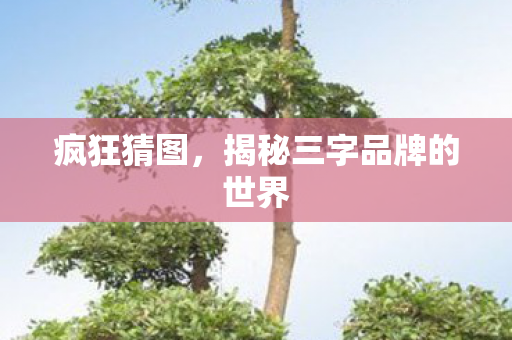 疯狂猜图，揭秘三字品牌的世界