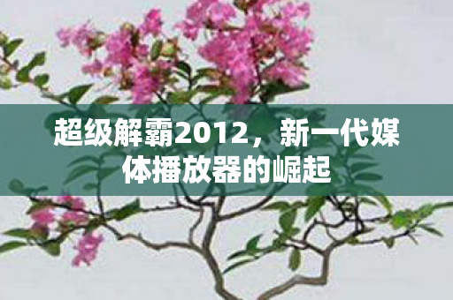 超级解霸2012，新一代媒体播放器的崛起