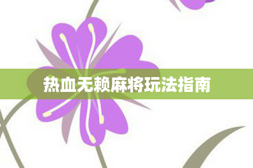 热血无赖麻将玩法指南