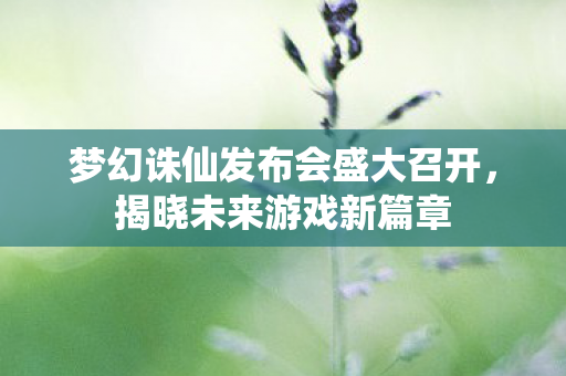 梦幻诛仙发布会盛大召开,揭晓未来游戏新篇章 梦幻诛仙发布会盛大召开,揭晓未来游戏新篇章