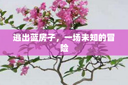 逃出蓝房子，一场未知的冒险
